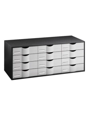 Organizador clasificador  negro 12 cajones gris