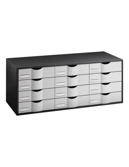 Organizador clasificador  negro 12 cajones gris
