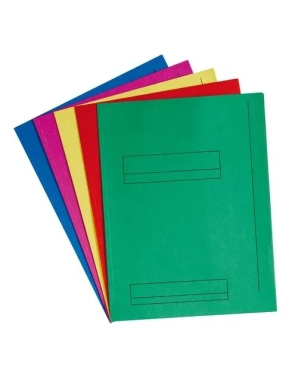 50 subcarpetas 2 solapas A4 Fast surtidas intenso