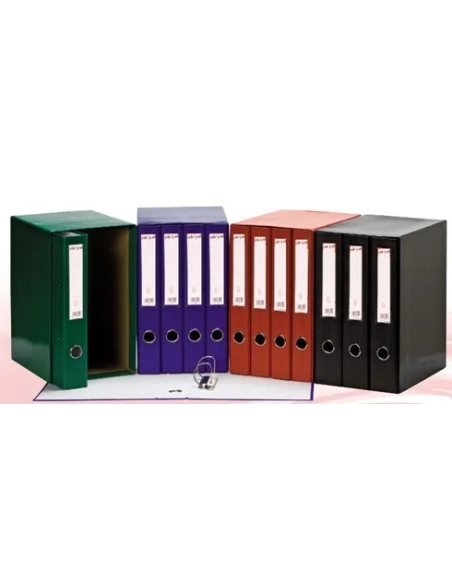 Conjunto 3 carpetas anillas