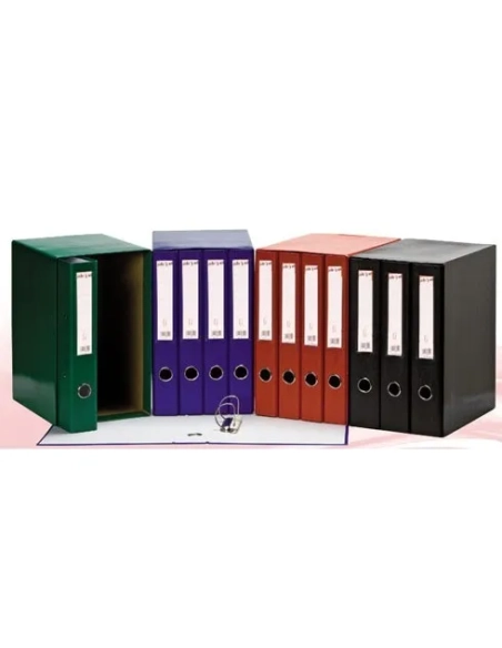 Conjunto 4 carpetas anillas