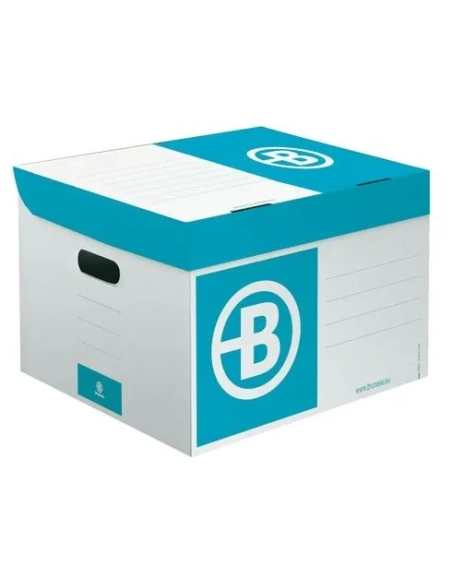 Contenedor de archivo definitivo pequeño azul