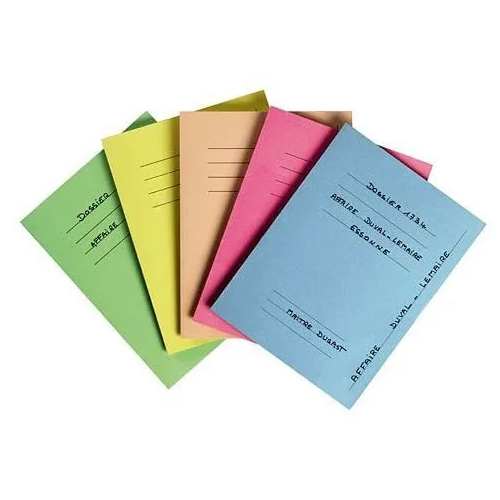 50 subcarpetas impresas Exacompta verde