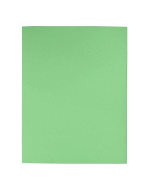 100 carpetas 180gr reciclado Exacompta verde