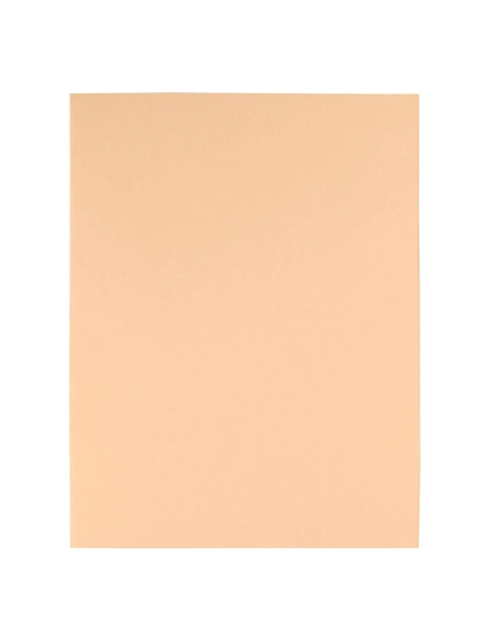 100 carpetas 180gr reciclado Exacompta kraft