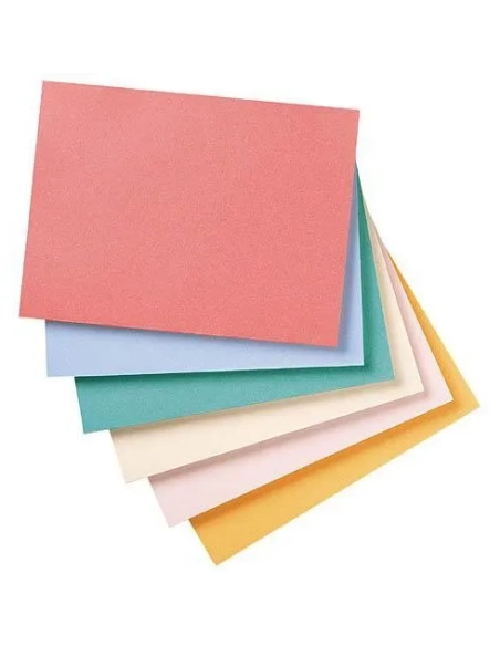 100 carpetas 180gr reciclado Exacompta naranja