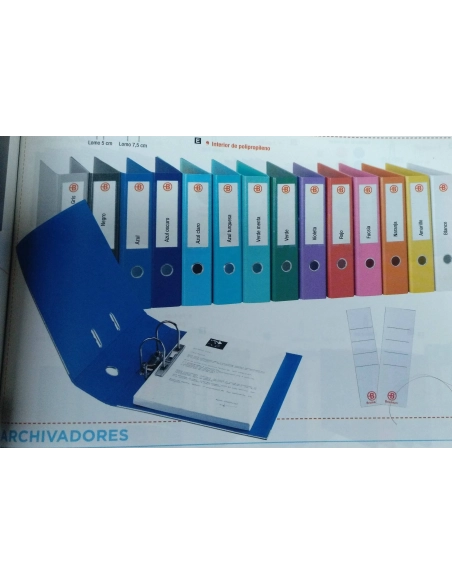 Archivador ancho forrado polipropileno A4 surtidos moda