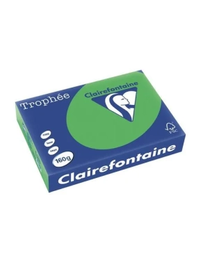 Papel A4 250 hojas 160gr verde menta Clairefontaine