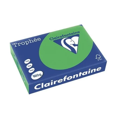 Papel A4 250 hojas 160gr verde menta Clairefontaine