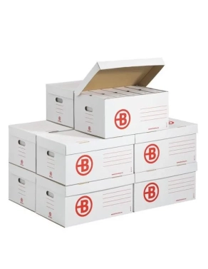 Caja contenedor blancas con 60 archivos definitivos