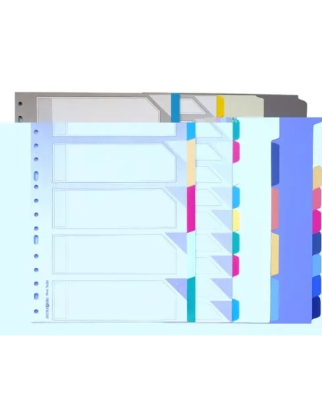 Separadores cuarto vertical 11 anillas 5 divisiones polipropileno 0.20 galga