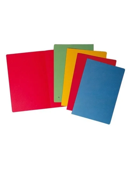 50 subcarpetas reciclados Picking Pack f