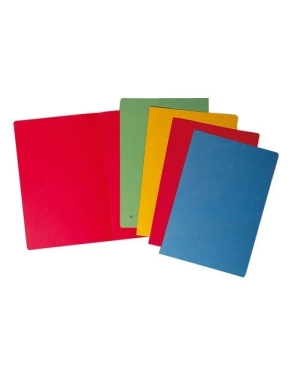 50 subcarpetas reciclados Picking Pack f