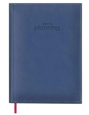 Planning anual
