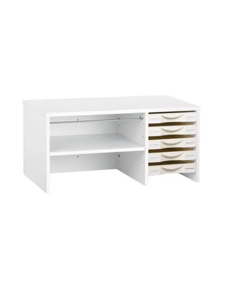 Modulo clasificacion 5 cajones PVC Intuitiv blanco