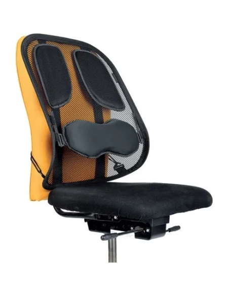 Cojin Respaldo lumbar profesional Fellowes