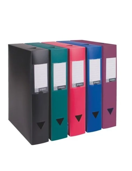 Carpeta proyectos Polipropileno Viquel 6 cm surtidas
