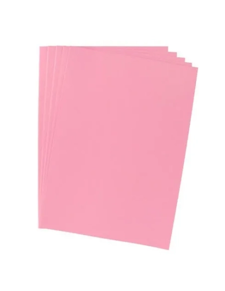 100 subcarpetas papel rosa JMB