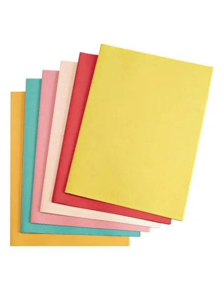 25 carpetas 60gr reciclado Exacompta surtido