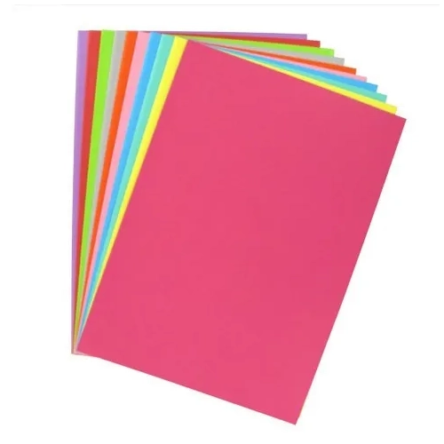 100 subcarpetas de papel blanco