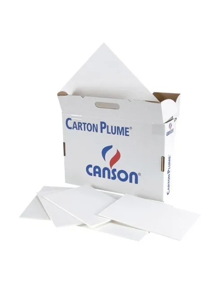 Carton pluma