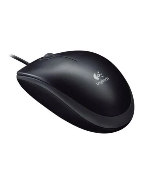 Rat