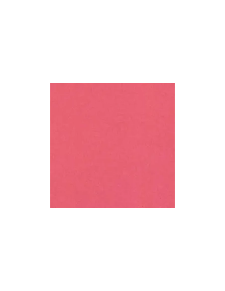 Cartulina A4 canson Iris 185 gramos Coral