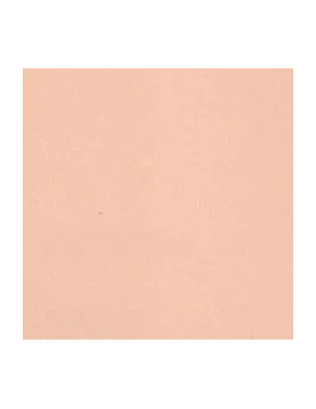 Cartulina A4 canson 185 gramos Carne