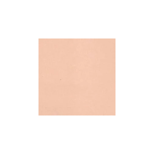 Cartulina A4 canson 185 gramos Carne