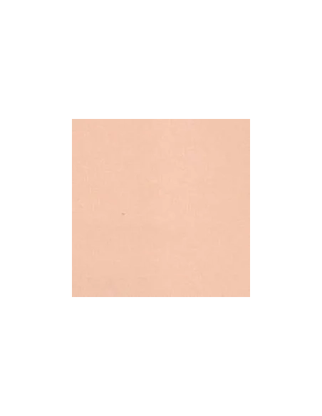 Cartulina A4 canson 185 gramos Carne