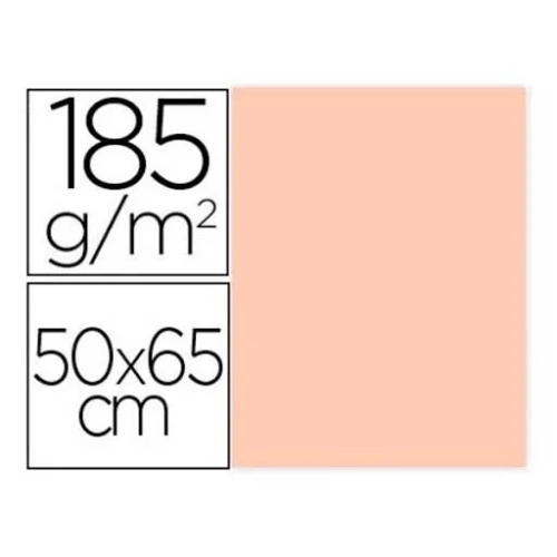 Cartulina Iris Canson Guarro 50x65 carne