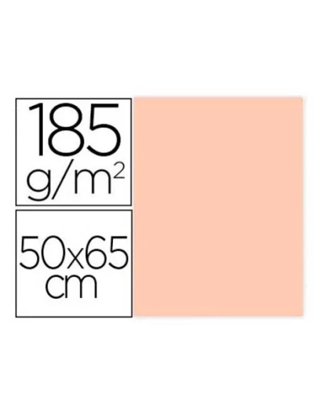 Cartulina Iris Canson Guarro 50x65 carne