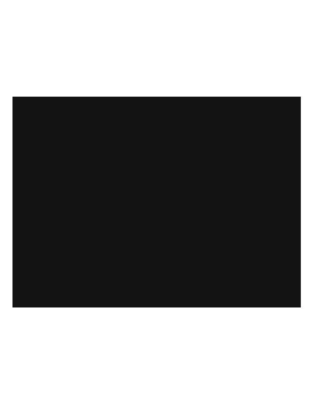 Cartulina Iris Canson Guarro 50x65 negra