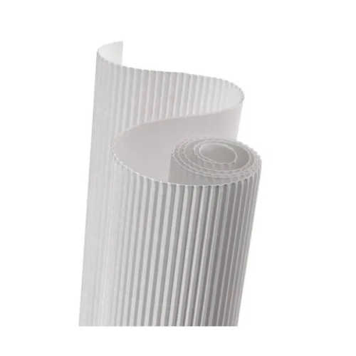 Carton ondulado canson en rollo 50x70 blanco