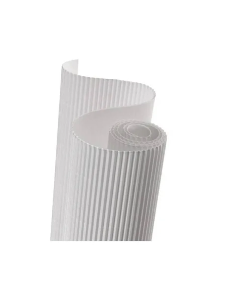 Carton ondulado canson en rollo 50x70 blanco