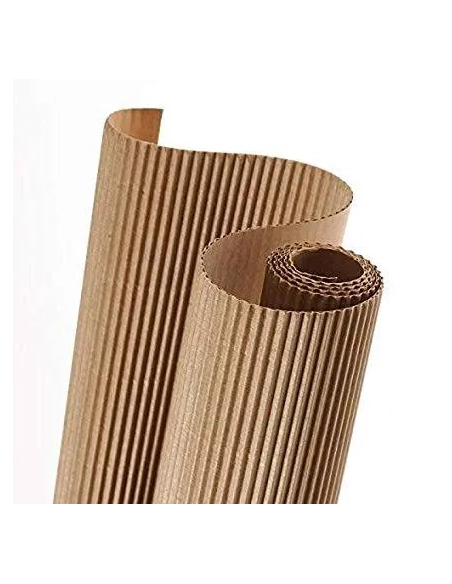 Carton ondulado canson en rollo 50x70 beige