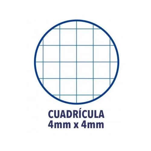 Block oxford folio cuadricula 4x4 tapa plastica colores vivos surtidos