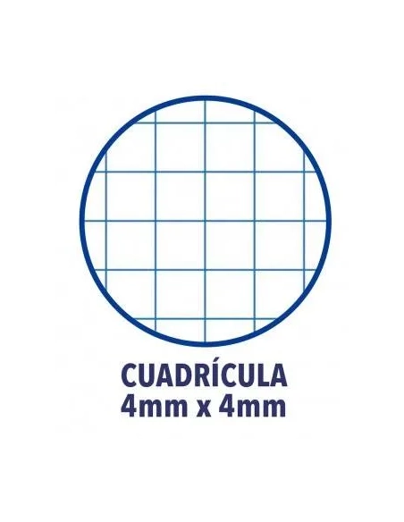 Block oxford folio cuadricula 4x4 tapa plastica colores vivos surtidos