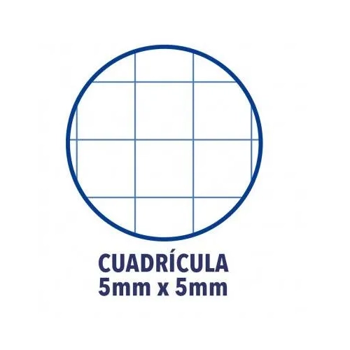 Block oxford folio cuadricula 5x5 tapa plastica colores surtidos