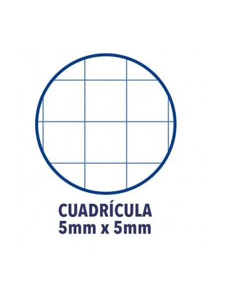 Block oxford folio cuadricula 5x5 tapa plastica colores surtidos