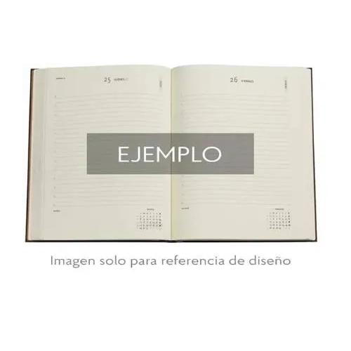 Agenda Paperblanks dia por pagina