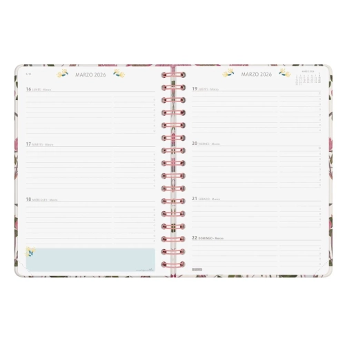 Agenda anual semana vista moniquilla