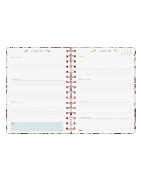 Agenda anual semana vista moniquilla